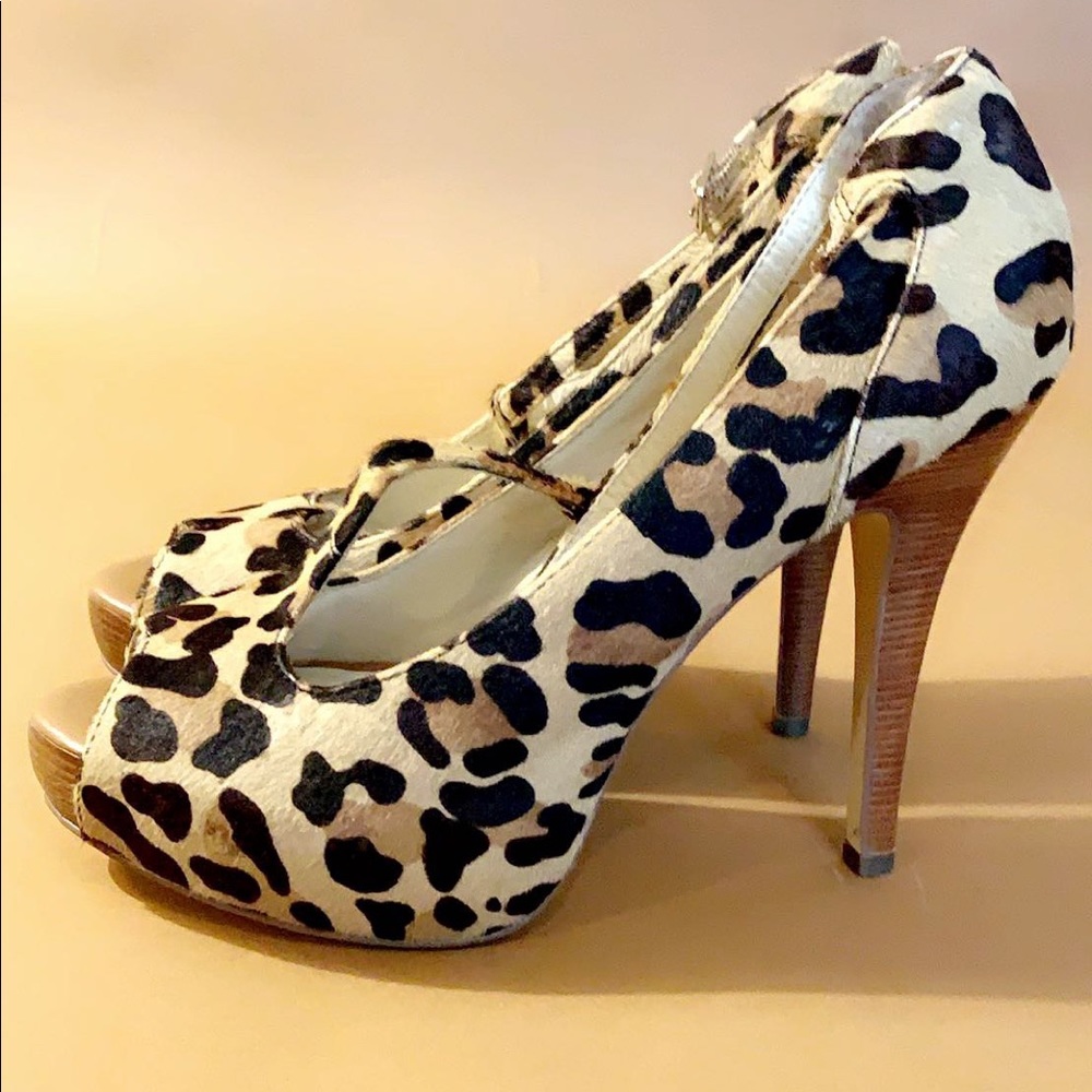 Sassy, cheetah girl, stiletto